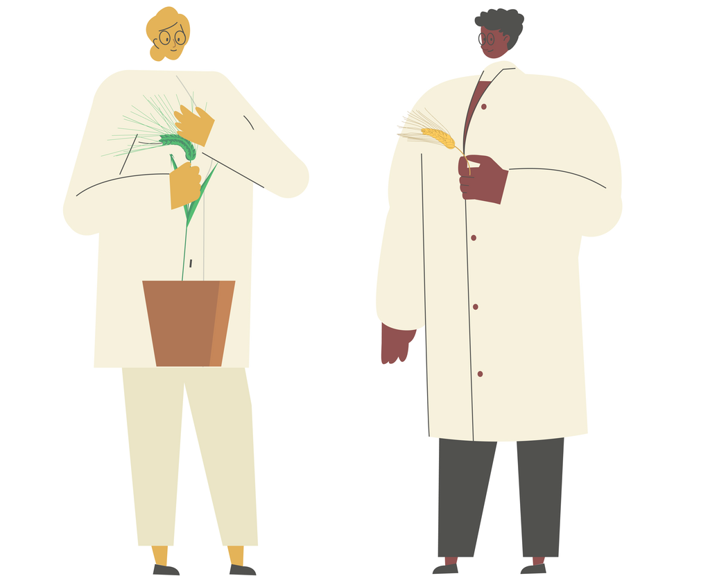 the breeder and the pre-breeder